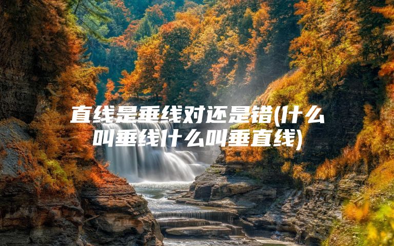 直线是垂线对还是错(什么叫垂线什么叫垂直线)