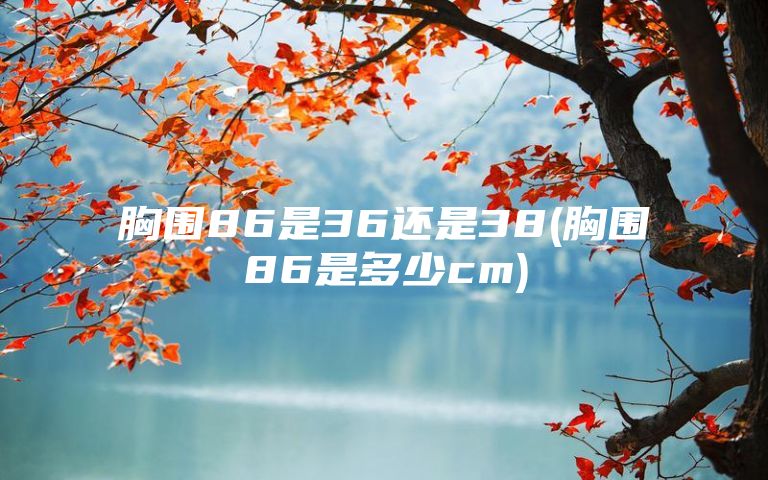 胸围86是36还是38(胸围86是多少cm)