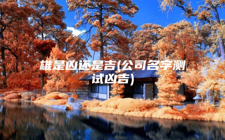 雄是凶还是吉(公司名字测试凶吉)