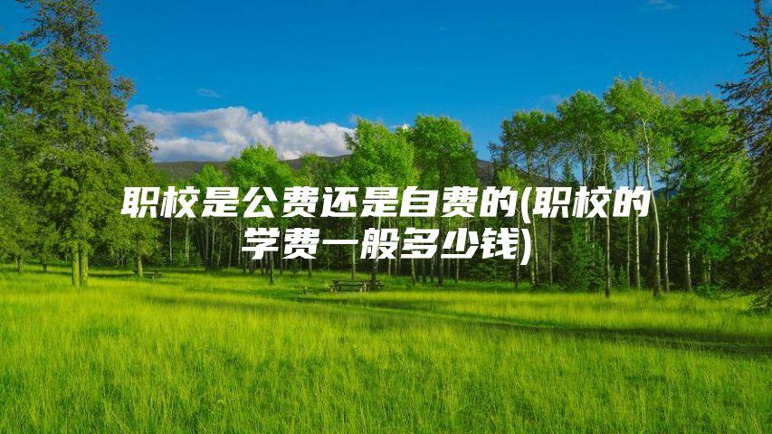 职校是公费还是自费的(职校的学费一般多少钱)