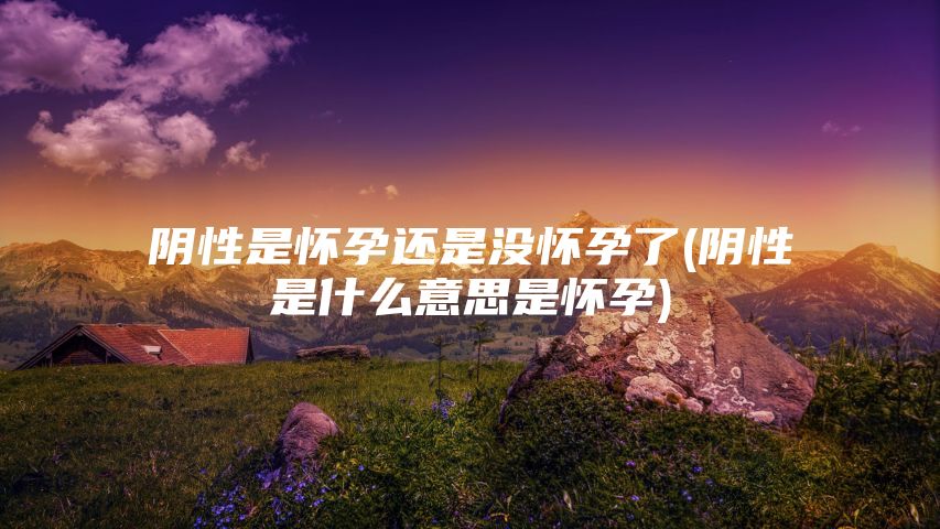 阴性是怀孕还是没怀孕了(阴性是什么意思是怀孕)