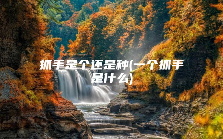 抓手是个还是种(一个抓手是什么)