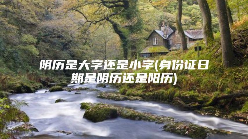 阴历是大字还是小字(身份证日期是阴历还是阳历)