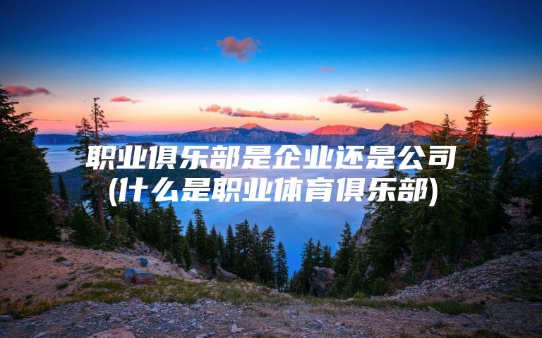 职业俱乐部是企业还是公司(什么是职业体育俱乐部)