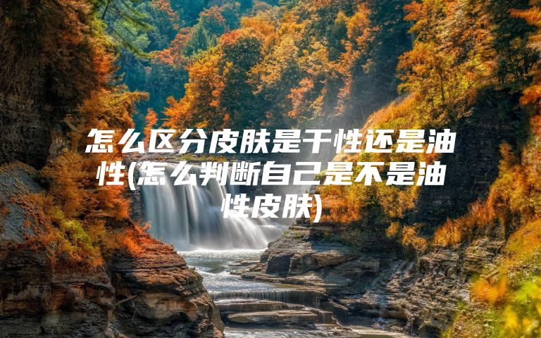 怎么区分皮肤是干性还是油性(怎么判断自己是不是油性皮肤)