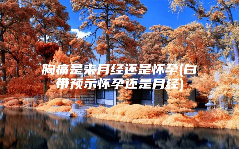 胸痛是来月经还是怀孕(白带预示怀孕还是月经)