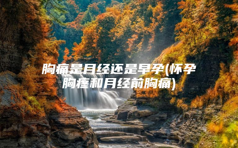 胸痛是月经还是早孕(怀孕胸疼和月经前胸痛)