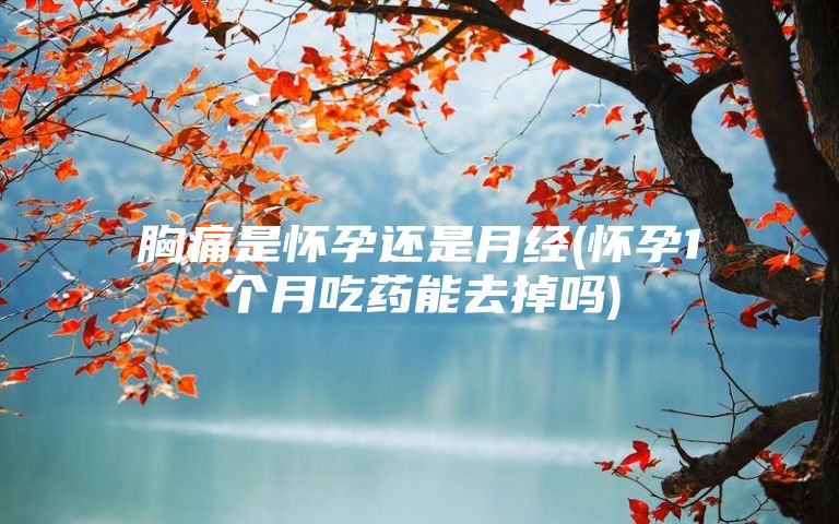 胸痛是怀孕还是月经(怀孕1个月吃药能去掉吗)