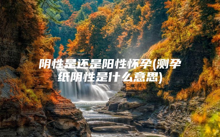 阴性是还是阳性怀孕(测孕纸阴性是什么意思)