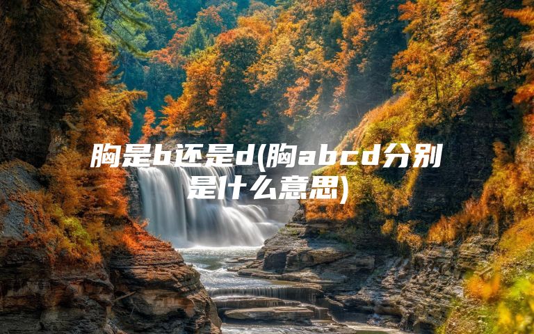 胸是b还是d(胸abcd分别是什么意思)