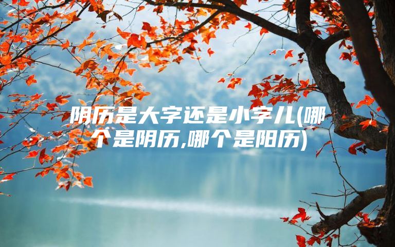 阴历是大字还是小字儿(哪个是阴历,哪个是阳历)