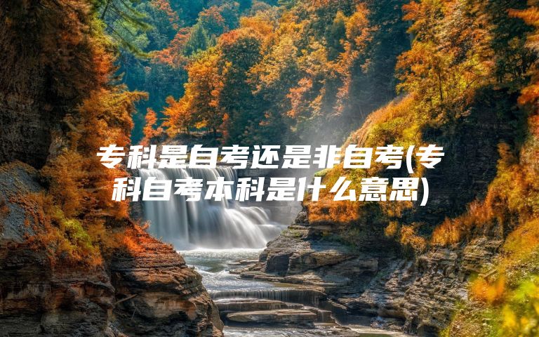 专科是自考还是非自考(专科自考本科是什么意思)