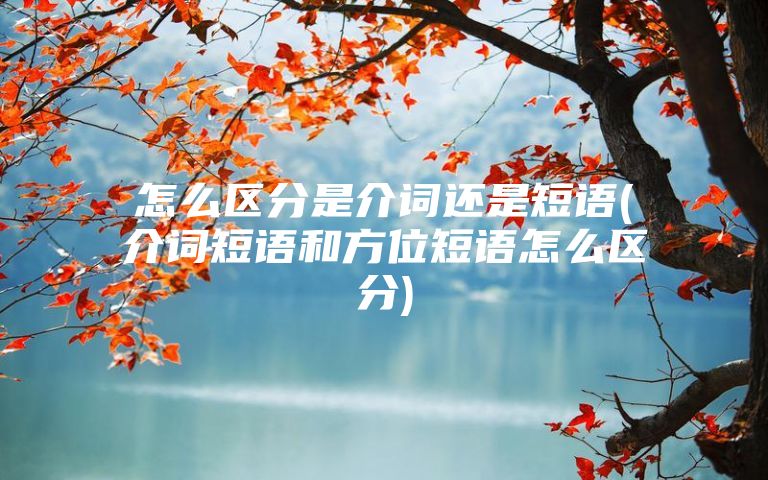 怎么区分是介词还是短语(介词短语和方位短语怎么区分)