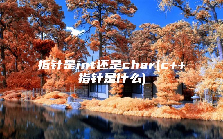 指针是int还是char(c++指针是什么)