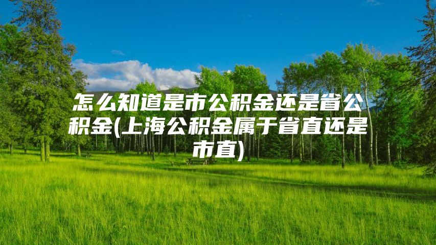 怎么知道是市公积金还是省公积金(上海公积金属于省直还是市直)