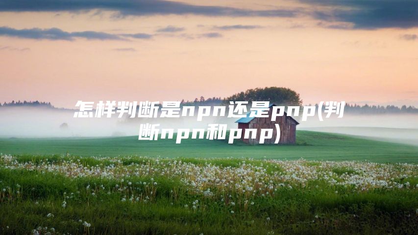 怎样判断是npn还是pnp(判断npn和pnp)