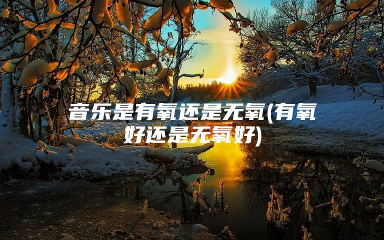 音乐是有氧还是无氧(有氧好还是无氧好)