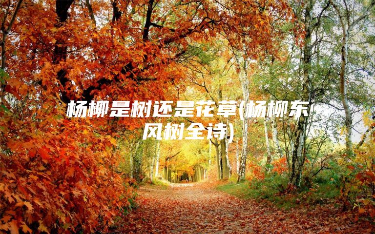 杨柳是树还是花草(杨柳东风树全诗)