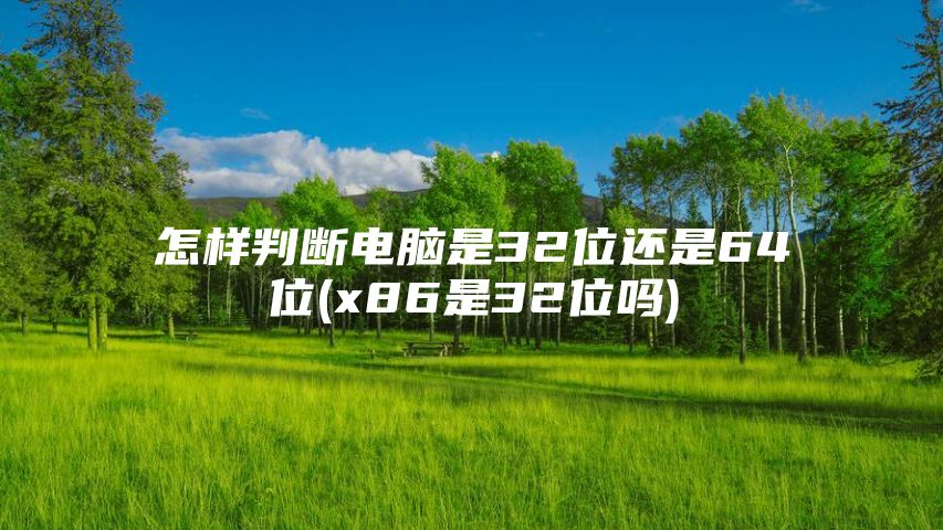 怎样判断电脑是32位还是64位(x86是32位吗)