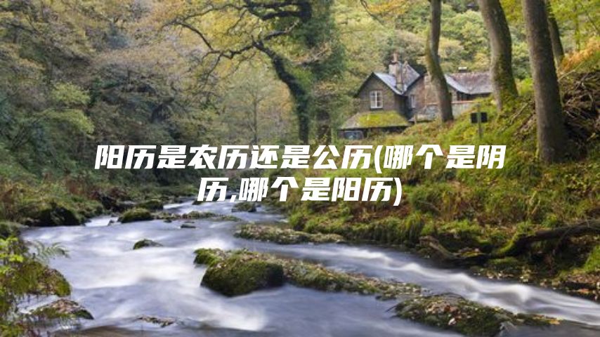 阳历是农历还是公历(哪个是阴历,哪个是阳历)