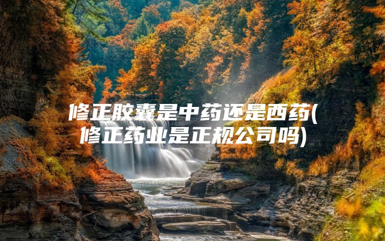 修正胶囊是中药还是西药(修正药业是正规公司吗)