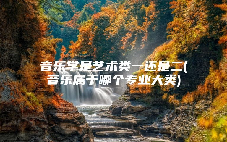 音乐学是艺术类一还是二(音乐属于哪个专业大类)