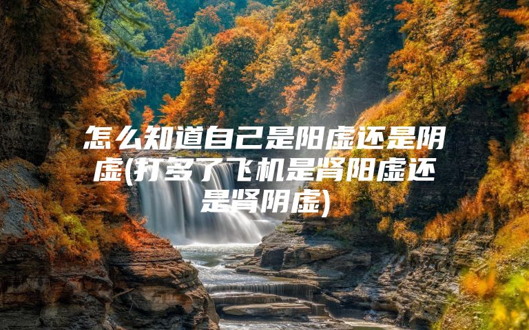 怎么知道自己是阳虚还是阴虚(打多了飞机是肾阳虚还是肾阴虚)