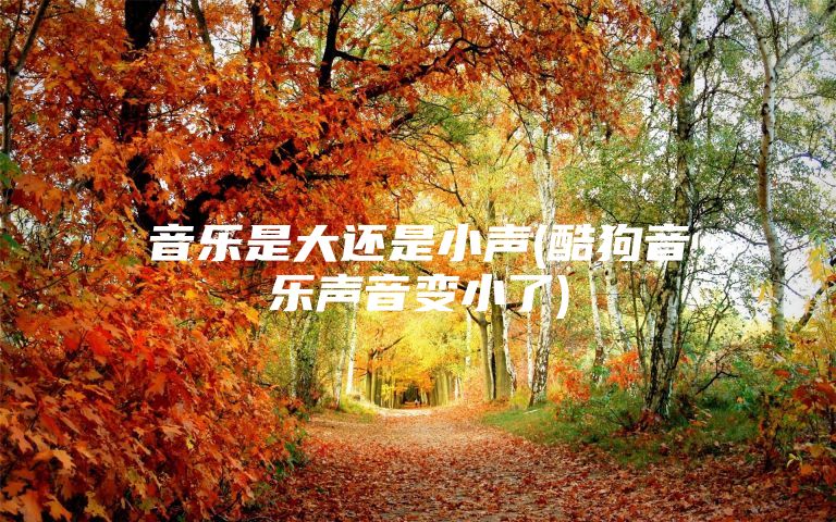 音乐是大还是小声(酷狗音乐声音变小了)