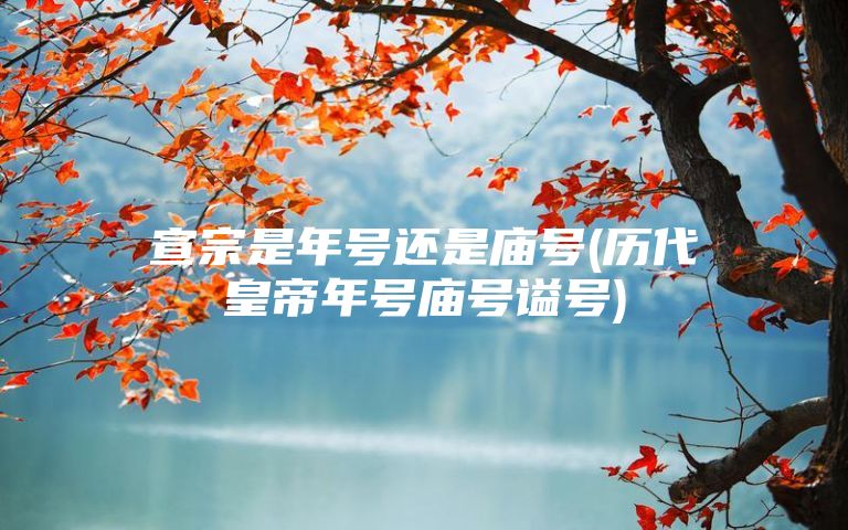 宣宗是年号还是庙号(历代皇帝年号庙号谥号)