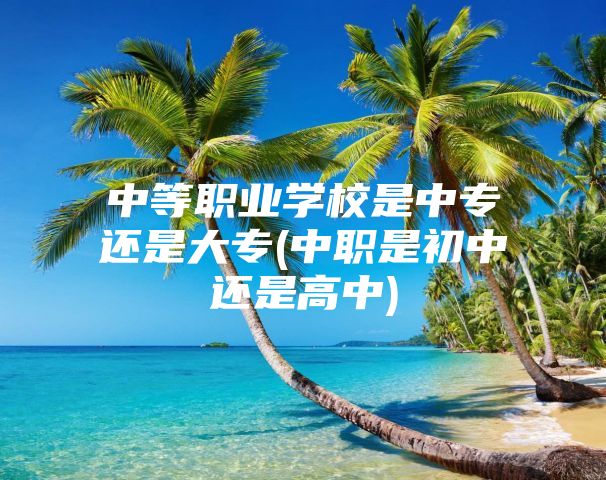 中等职业学校是中专还是大专(中职是初中还是高中)