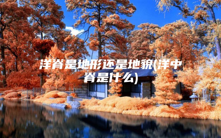 洋脊是地形还是地貌(洋中脊是什么)