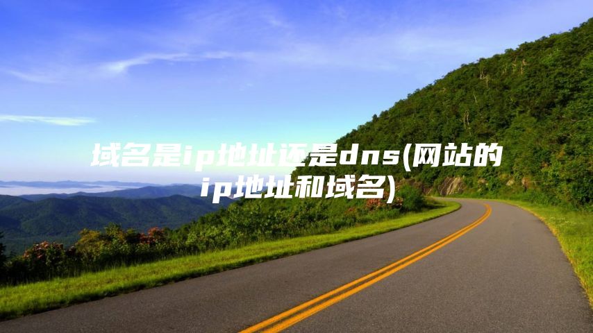 域名是ip地址还是dns(网站的ip地址和域名)