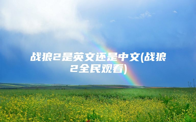 战狼2是英文还是中文(战狼2全民观看)