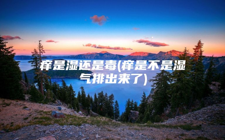 痒是湿还是毒(痒是不是湿气排出来了)