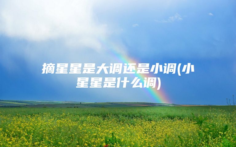 摘星星是大调还是小调(小星星是什么调)