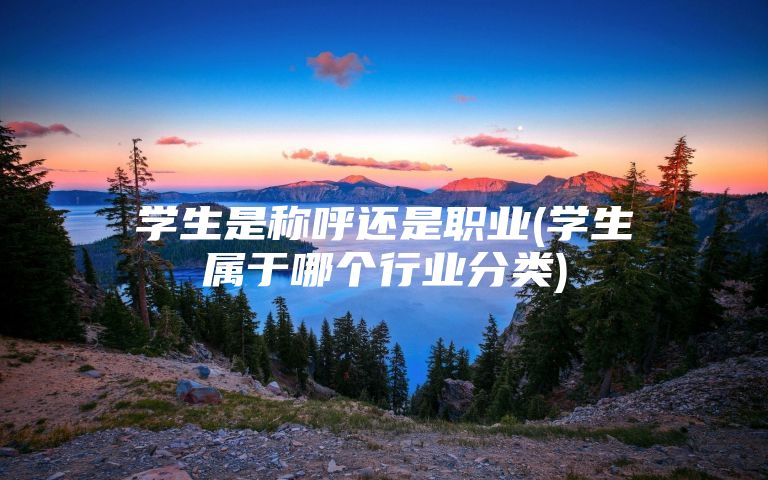 学生是称呼还是职业(学生属于哪个行业分类)