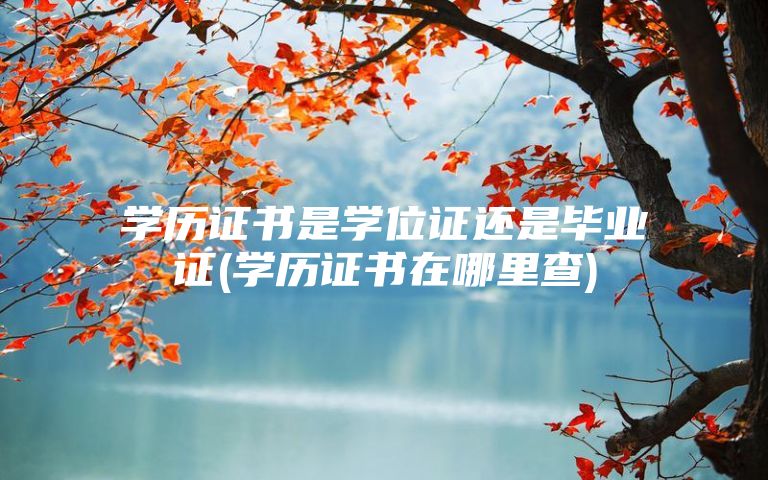 学历证书是学位证还是毕业证(学历证书在哪里查)