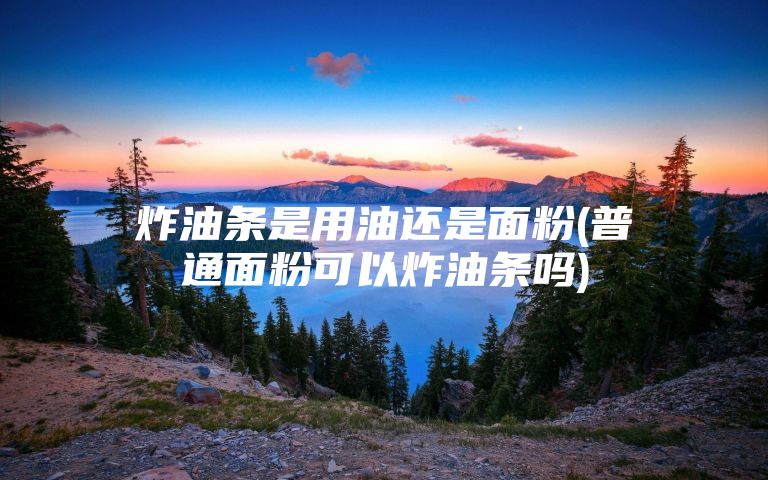 炸油条是用油还是面粉(普通面粉可以炸油条吗)