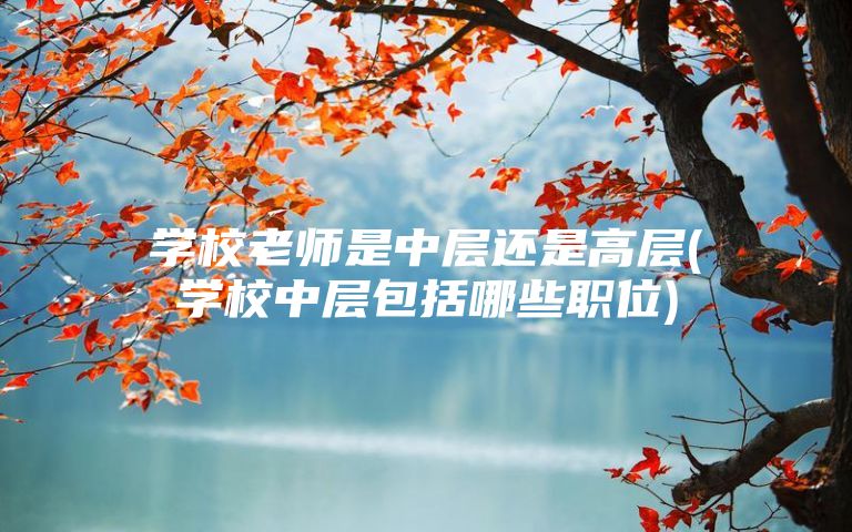 学校老师是中层还是高层(学校中层包括哪些职位)