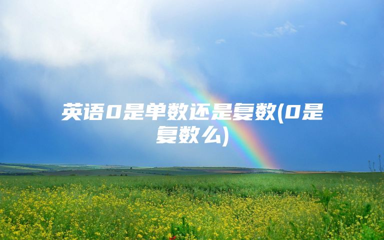 英语0是单数还是复数(0是复数么)