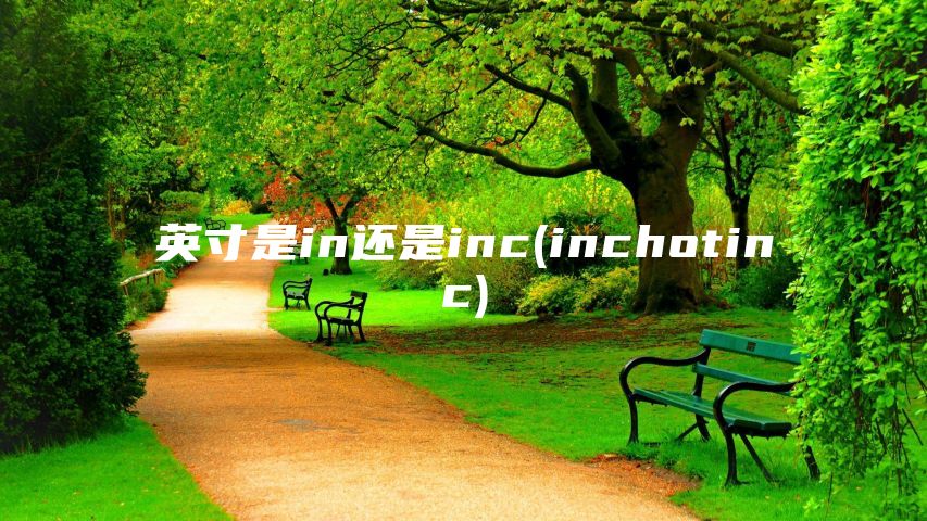 英寸是in还是inc(inchotinc)