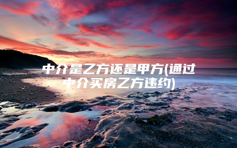 中介是乙方还是甲方(通过中介买房乙方违约)