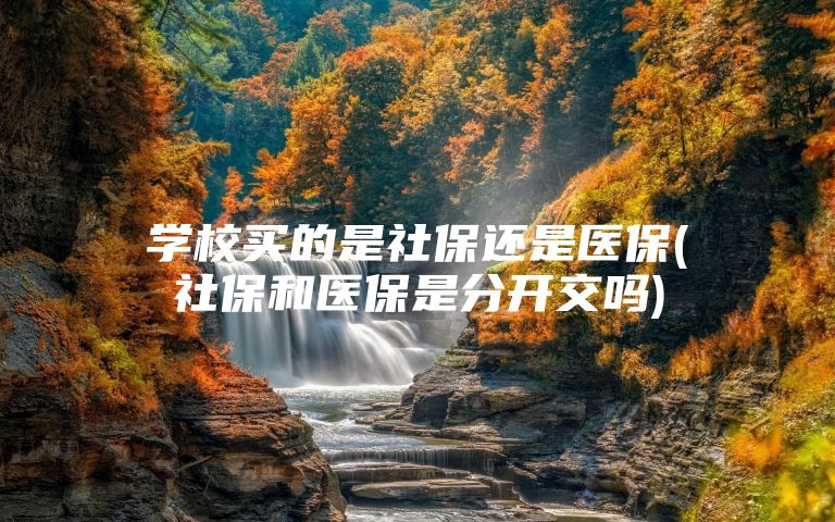 学校买的是社保还是医保(社保和医保是分开交吗)