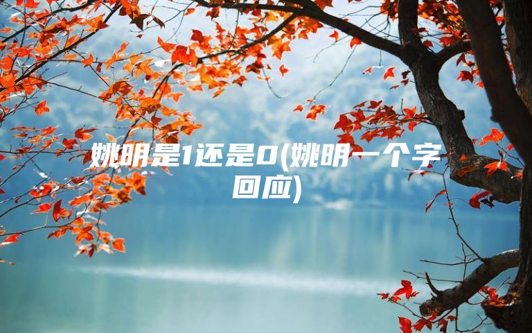 姚明是1还是0(姚明一个字回应)