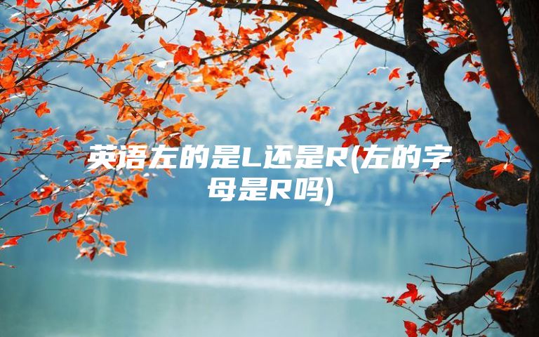 英语左的是L还是R(左的字母是R吗)