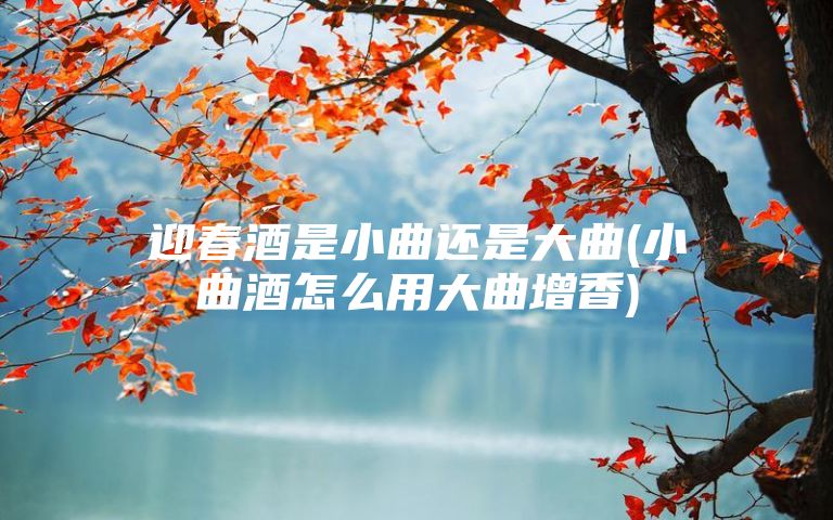 迎春酒是小曲还是大曲(小曲酒怎么用大曲增香)