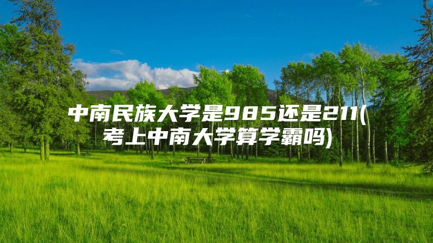 中南民族大学是985还是211(考上中南大学算学霸吗)