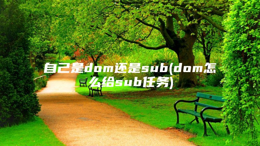 自己是dom还是sub(dom怎么给sub任务)