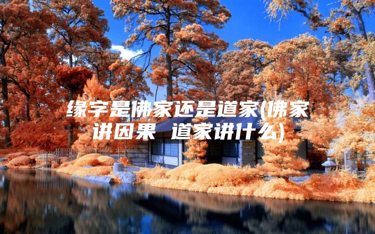 缘字是佛家还是道家(佛家讲因果 道家讲什么)