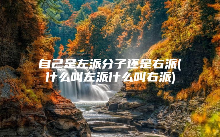 自己是左派分子还是右派(什么叫左派什么叫右派)